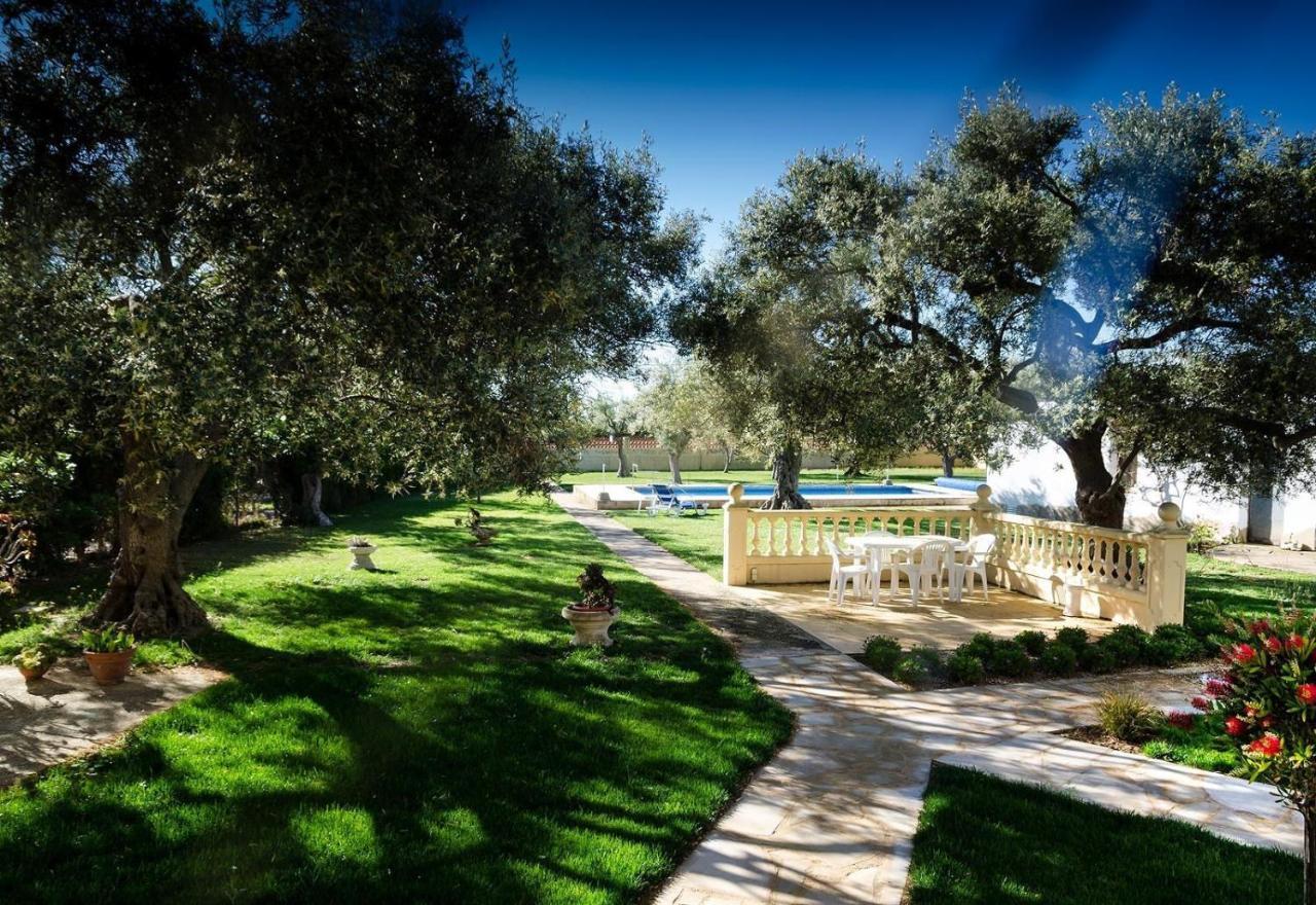 Villa With Great Pool Dog Friendly Vinarós Exteriér fotografie